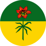 Le drapeau de la Saskatchewan : un lys rouge sur un champ circulaire jaune et vert